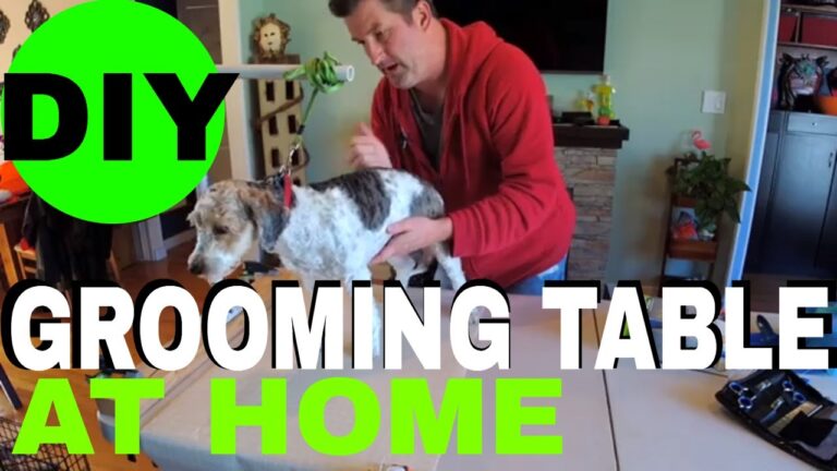 DIY Dog Grooming Table Project