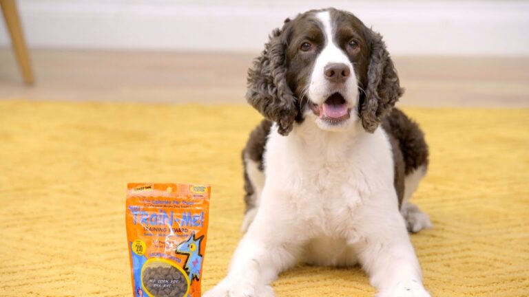 Chewy Dog Treats Are Popular But Not Properly Dipped
