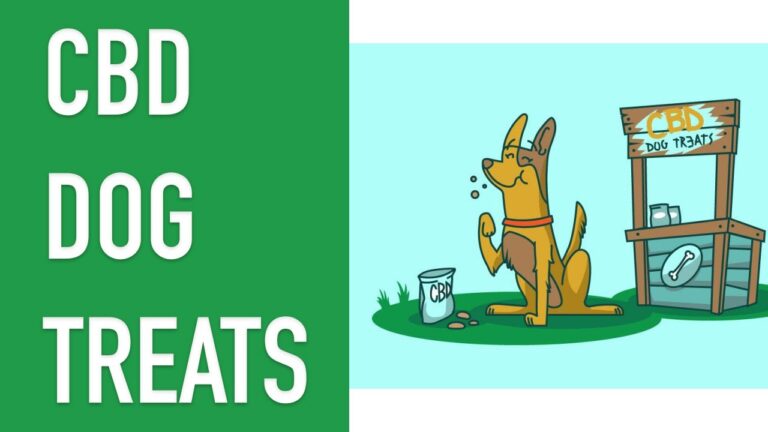 Finding the Right CBD Dog Treats For Your Dog